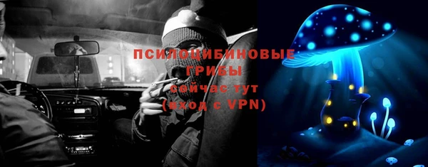 молекула духа Беломорск