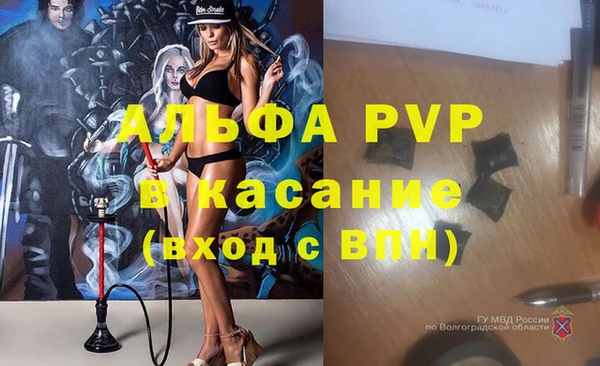 молекула духа Беломорск
