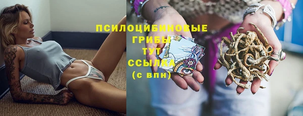 молекула духа Беломорск