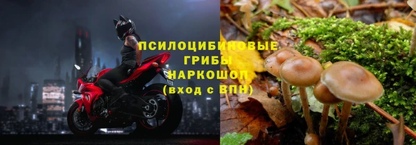 молекула духа Беломорск