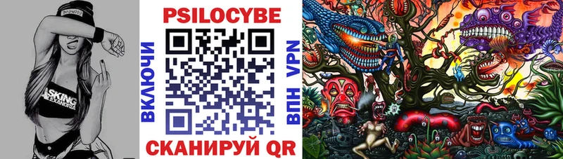 Псилоцибиновые грибы Psilocybine cubensis Дальнегорск