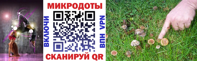где продают наркотики  Дальнегорск  Псилоцибиновые грибы Psilocybine cubensis 