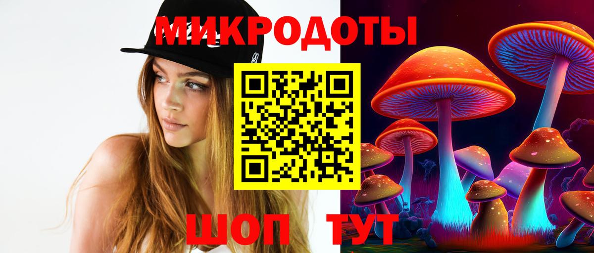 Дальнегорск  Галлюциногенные грибы Psilocybine cubensis  Вход с VPN 